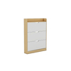 Slim Design Design Shoe Rack Protection Perfect Slim Shoe Cabinet for Small Relay Paces