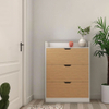 Slim Design Design Shoe Rack Protection Perfect Slim Shoe Cabinet for Small Relay Paces